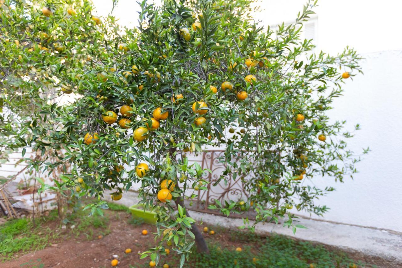 Laila'S Cozy Garden House & Studio Larnaca Bagian luar foto