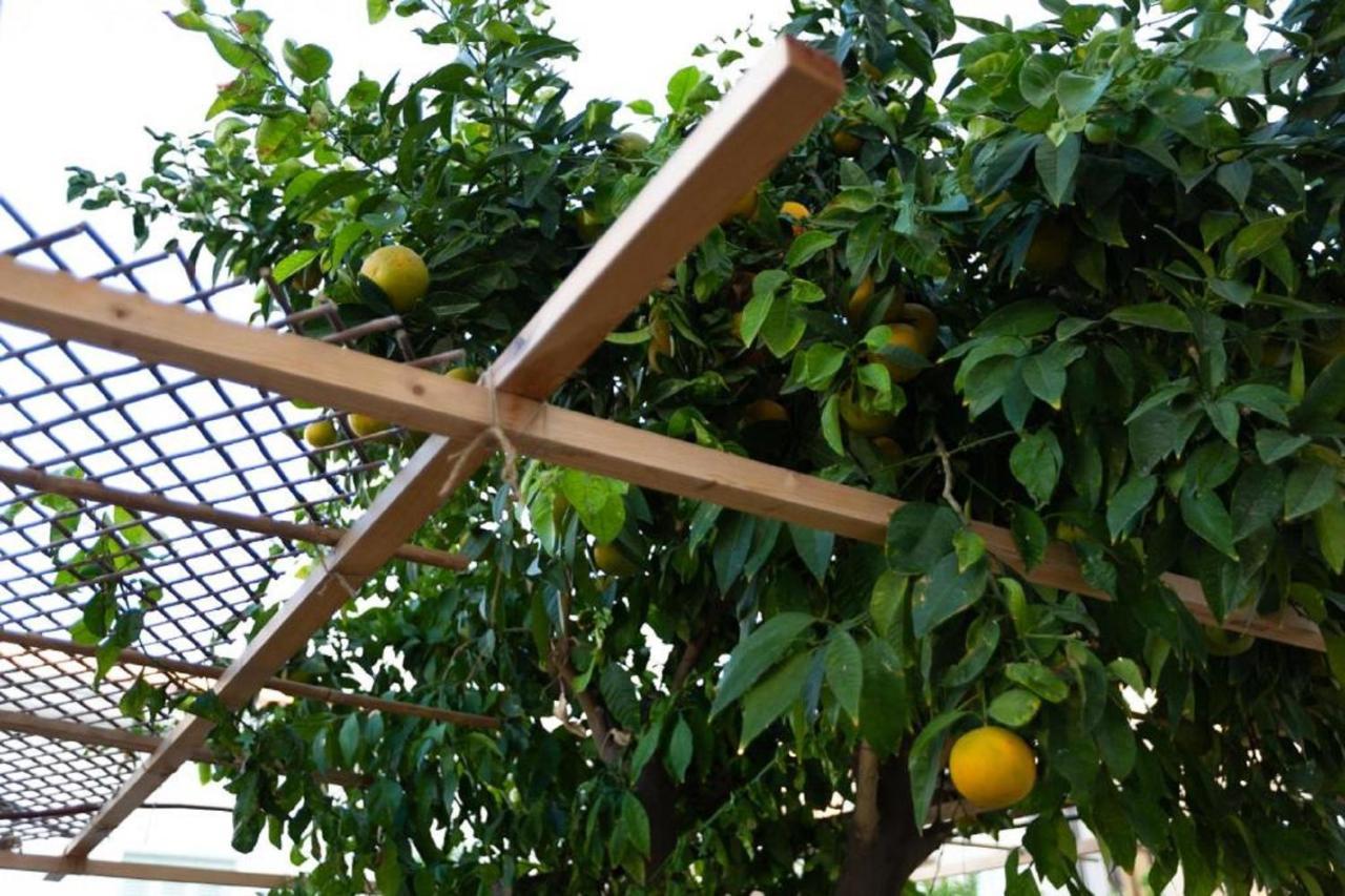 Laila'S Cozy Garden House & Studio Larnaca Bagian luar foto